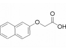 植物激素及核酸類