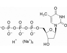 植物激素及核酸類