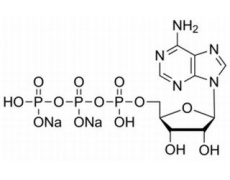 植物激素及核酸類