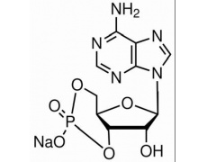 植物激素及核酸類