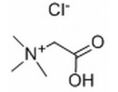 植物激素及核酸類