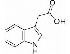 植物激素及核酸類