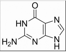 植物激素及核酸類