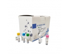 染料法PCR試劑盒