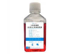 永生化細(xì)胞專用培養(yǎng)基