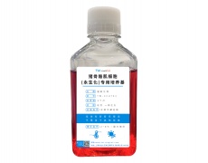 永生化細(xì)胞專用培養(yǎng)基