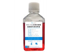 細(xì)胞系專用培養(yǎng)基