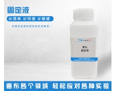 固定液