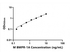 小鼠 Elisa試劑盒