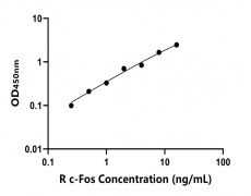 大鼠 Elisa試劑盒