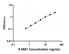 大鼠 Elisa試劑盒