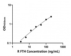 大鼠 Elisa試劑盒