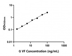 其他 Elisa試劑盒
