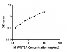 小鼠 Elisa試劑盒