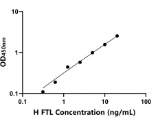 其他 Elisa試劑盒