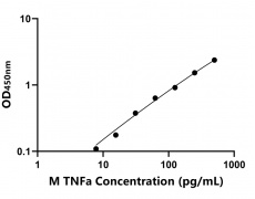 其他 Elisa試劑盒