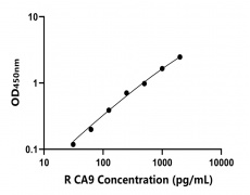 大鼠 Elisa試劑盒