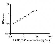 大鼠 Elisa試劑盒