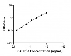 大鼠 Elisa試劑盒