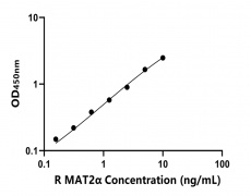 大鼠 Elisa試劑盒