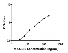 小鼠 Elisa試劑盒