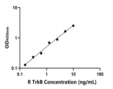 大鼠 Elisa試劑盒