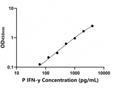 動(dòng)物 Elisa試劑盒