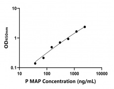 動(dòng)物 Elisa試劑盒