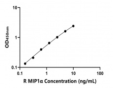 大鼠 Elisa試劑盒