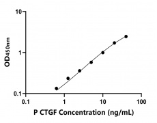 其他 Elisa試劑盒