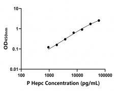 其他 Elisa試劑盒