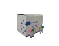 探針法qPCR試劑盒