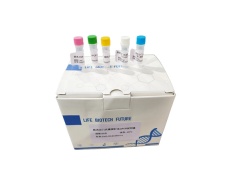 探針法qPCR試劑盒