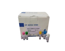 探針法qPCR試劑盒