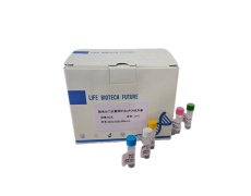 探針法qPCR試劑盒