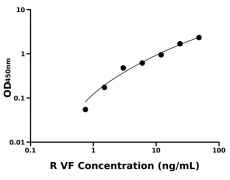 大鼠 Elisa試劑盒