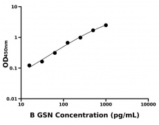 其他 Elisa試劑盒