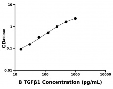 其他 Elisa試劑盒