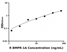 大鼠 Elisa試劑盒