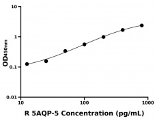 大鼠 Elisa試劑盒