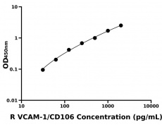 大鼠 Elisa試劑盒