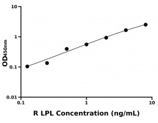 大鼠 Elisa試劑盒