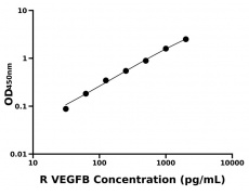 大鼠 Elisa試劑盒