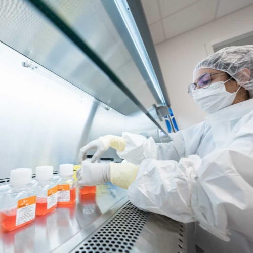 進(jìn)口胎牛血清