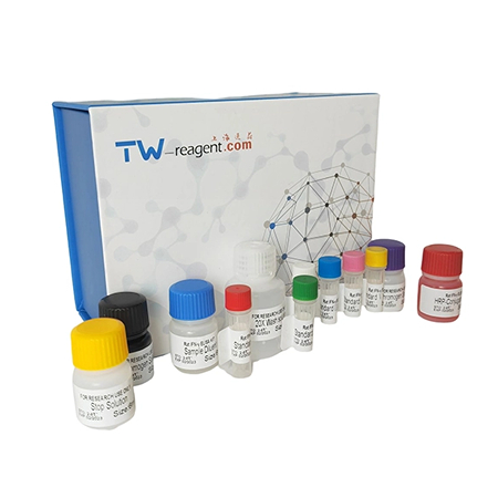 大鼠IL-6檢測(cè)試劑盒 大鼠IL-6檢測(cè)試劑盒