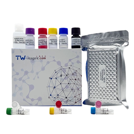 小鼠1-磷酸鞘氨醇(S1P)ELISA試劑盒 小鼠1-磷酸鞘氨醇(S1P)ELISA試劑盒