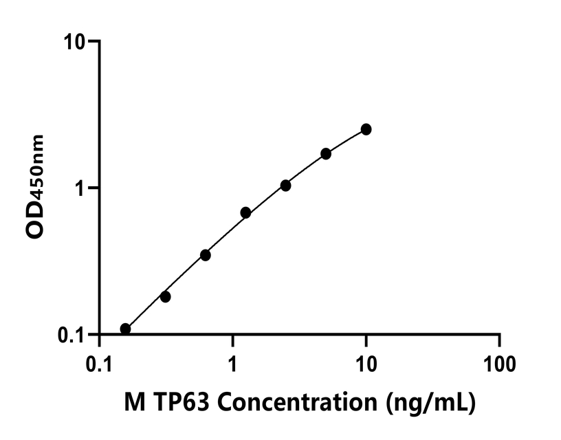 小鼠(TP63)ELISA試劑盒