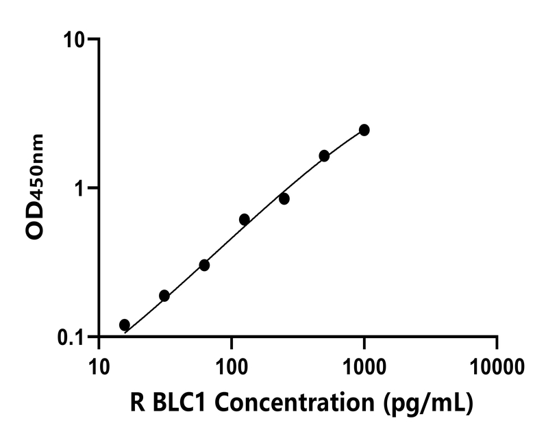 大鼠(BLC1)ELISA試劑盒