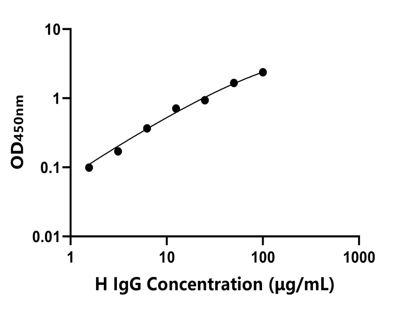 馬G(IgG)ELISA試劑盒 馬G(IgG)ELISA試劑盒