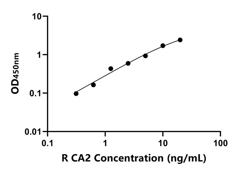 大鼠 (CA2) ELISA 試劑盒
